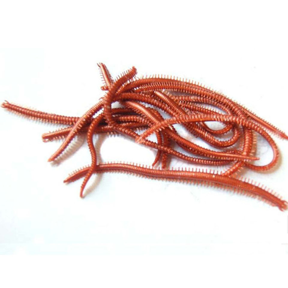 10개/몫 인공 바다 벌레 135mm 부드러운 낚시 미 - Fishing Lure Soft Plastic 리뷰 및 가격
